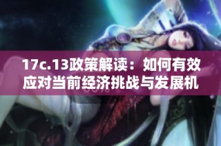 17c.13政策解读：如何有效应对当前经济挑战与发展机遇