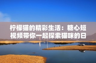 柠檬猫的精彩生活：糖心短视频带你一起探索猫咪的日常乐趣