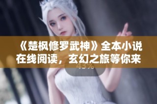 《楚枫修罗武神》全本小说在线阅读，玄幻之旅等你来探索