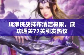 玩家挑战抹布清洁极限，成功通关77关引发热议