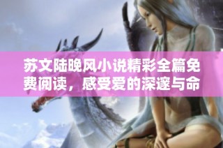 苏文陆晚风小说精彩全篇免费阅读，感受爱的深邃与命运的纠葛