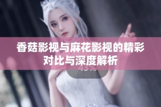香菇影视与麻花影视的精彩对比与深度解析