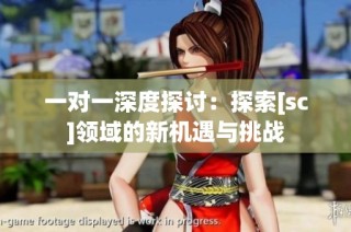 一对一深度探讨：探索[sc]领域的新机遇与挑战