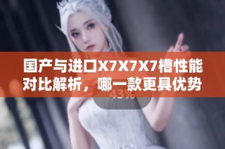 国产与进口X7X7X7槽性能对比解析，哪一款更具优势？