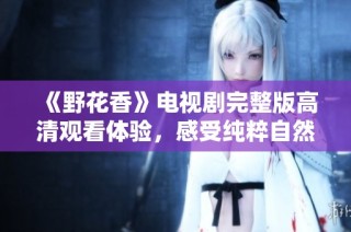 《野花香》电视剧完整版高清观看体验，感受纯粹自然之美