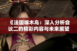 《法国啄木鸟：深入分析会议二的精彩内容与未来展望》