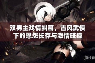 双男主戏情纠葛，古风武侠下的恩怨长存与激情碰撞