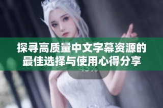 探寻高质量中文字幕资源的最佳选择与使用心得分享