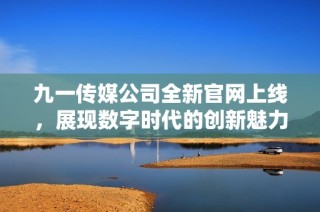 九一传媒公司全新官网上线，展现数字时代的创新魅力