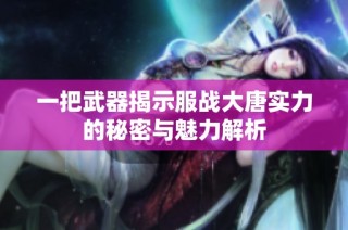 一把武器揭示服战大唐实力的秘密与魅力解析