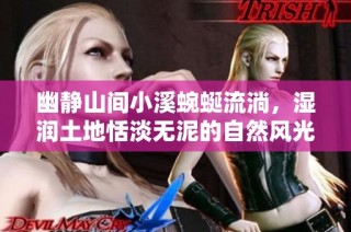 幽静山间小溪蜿蜒流淌，湿润土地恬淡无泥的自然风光