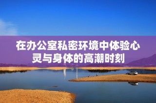 在办公室私密环境中体验心灵与身体的高潮时刻