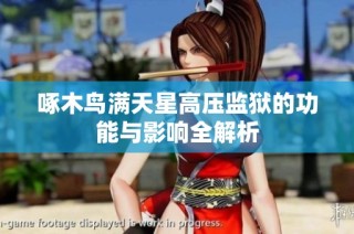 啄木鸟满天星高压监狱的功能与影响全解析