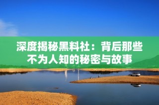 深度揭秘黑料社：背后那些不为人知的秘密与故事