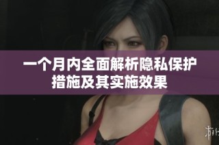一个月内全面解析隐私保护措施及其实施效果