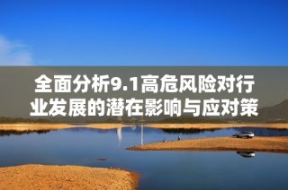 全面分析9.1高危风险对行业发展的潜在影响与应对策略