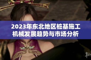 2023年东北地区桩基施工机械发展趋势与市场分析