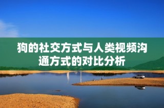 狗的社交方式与人类视频沟通方式的对比分析