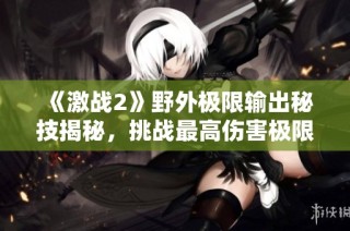 《激战2》野外极限输出秘技揭秘，挑战最高伤害极限之路