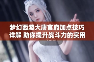梦幻西游大唐官府加点技巧详解 助你提升战斗力的实用指南分享