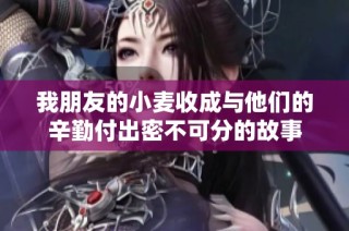 我朋友的小麦收成与他们的辛勤付出密不可分的故事