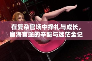 在复杂官场中挣扎与成长，宦海官途的辛酸与迷茫全记录