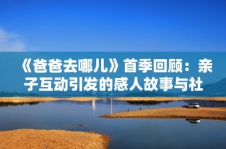 《爸爸去哪儿》首季回顾：亲子互动引发的感人故事与社会热议