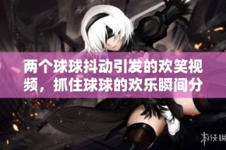两个球球抖动引发的欢笑视频，抓住球球的欢乐瞬间分享