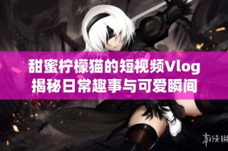 甜蜜柠檬猫的短视频Vlog揭秘日常趣事与可爱瞬间
