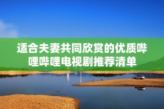 适合夫妻共同欣赏的优质哔哩哔哩电视剧推荐清单