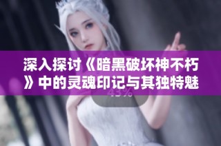 深入探讨《暗黑破坏神不朽》中的灵魂印记与其独特魅力