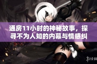 通房11小时的神秘故事，探寻不为人知的内幕与情感纠葛