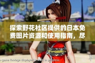 探索野花社区提供的日本免费图片资源和使用指南，尽享视觉盛宴与创意灵感