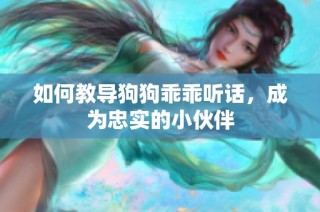 如何教导狗狗乖乖听话，成为忠实的小伙伴