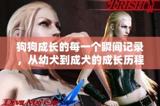 狗狗成长的每一个瞬间记录，从幼犬到成犬的成长历程