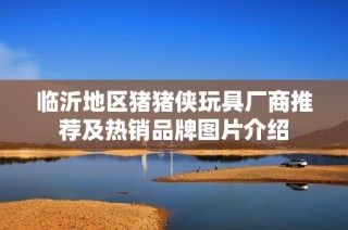 临沂地区猪猪侠玩具厂商推荐及热销品牌图片介绍