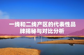 一线和二线产区的代表性品牌揭秘与对比分析
