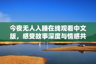 今夜无人入睡在线观看中文版，感受故事深度与情感共鸣