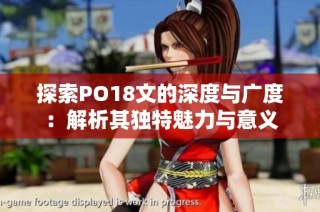 探索PO18文的深度与广度：解析其独特魅力与意义