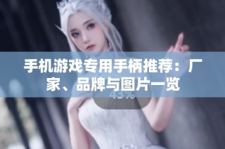手机游戏专用手柄推荐：厂家、品牌与图片一览