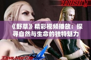 《野草》精彩视频播放：探寻自然与生命的独特魅力