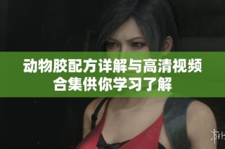 动物胶配方详解与高清视频合集供你学习了解