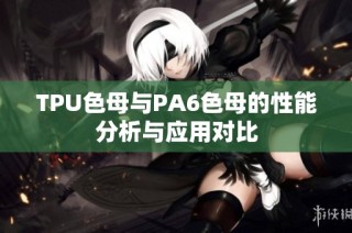 TPU色母与PA6色母的性能分析与应用对比