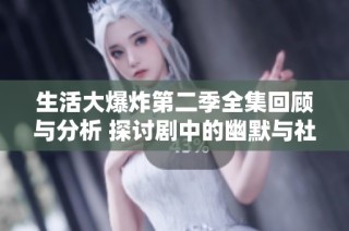 生活大爆炸第二季全集回顾与分析 探讨剧中的幽默与社会现象