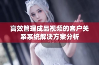 高效管理成品视频的客户关系系统解决方案分析