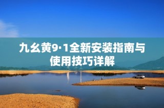 九幺黄9·1全新安装指南与使用技巧详解