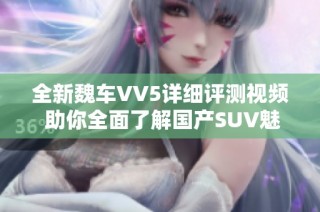 全新魏车VV5详细评测视频 助你全面了解国产SUV魅力