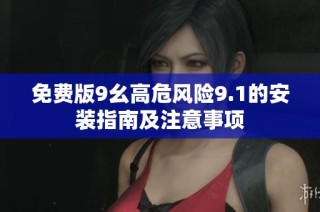 免费版9幺高危风险9.1的安装指南及注意事项