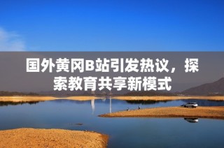 国外黄冈B站引发热议，探索教育共享新模式