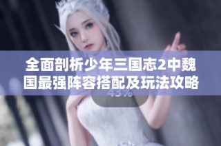 全面剖析少年三国志2中魏国最强阵容搭配及玩法攻略